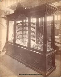 E.K. Tryon Jr. und Co. Feuerwaffen, Philadelphia Centennial Exposition, 1876 (Albuminabzug)